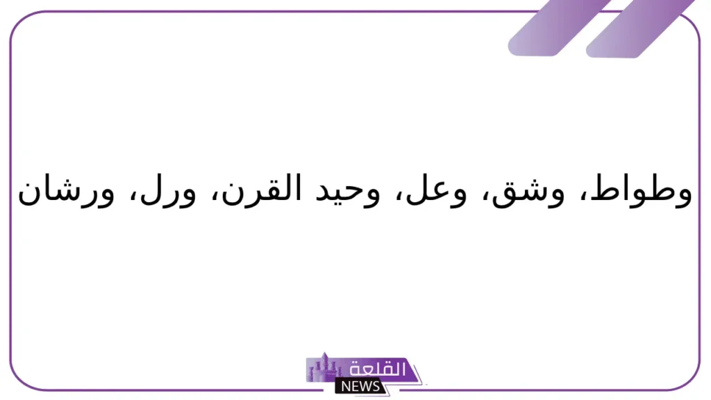 حيوان بحرف و.. أسماء حيوانات تبدأ بحرف الواو 6 6 أسماء حيوانات تبدأ بحرف واو