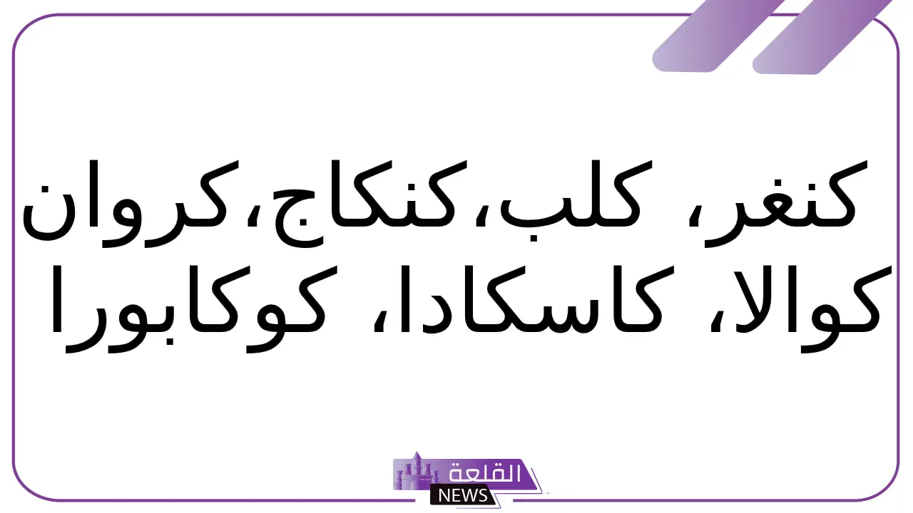 حيوان بحرف ك.. أسماء حيوانات تبدأ بحرف الكاف حيوان بحرف ك.. أسماء حيوانات تبدأ بحرف الكاف