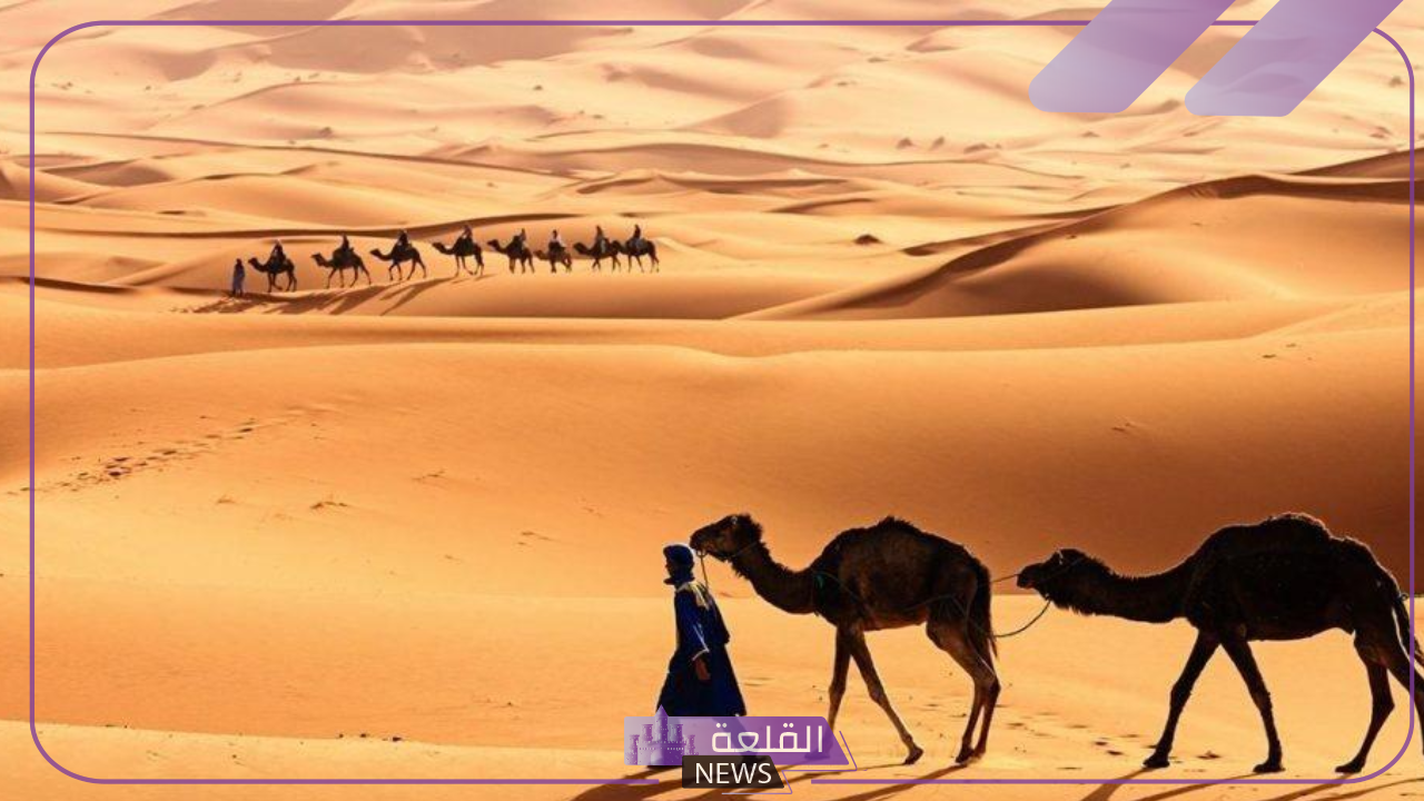 النفيعي وش يرجع.. أصل النفيعي وش يعود؟ 6 اكتشف أصل ونسب النفيعي