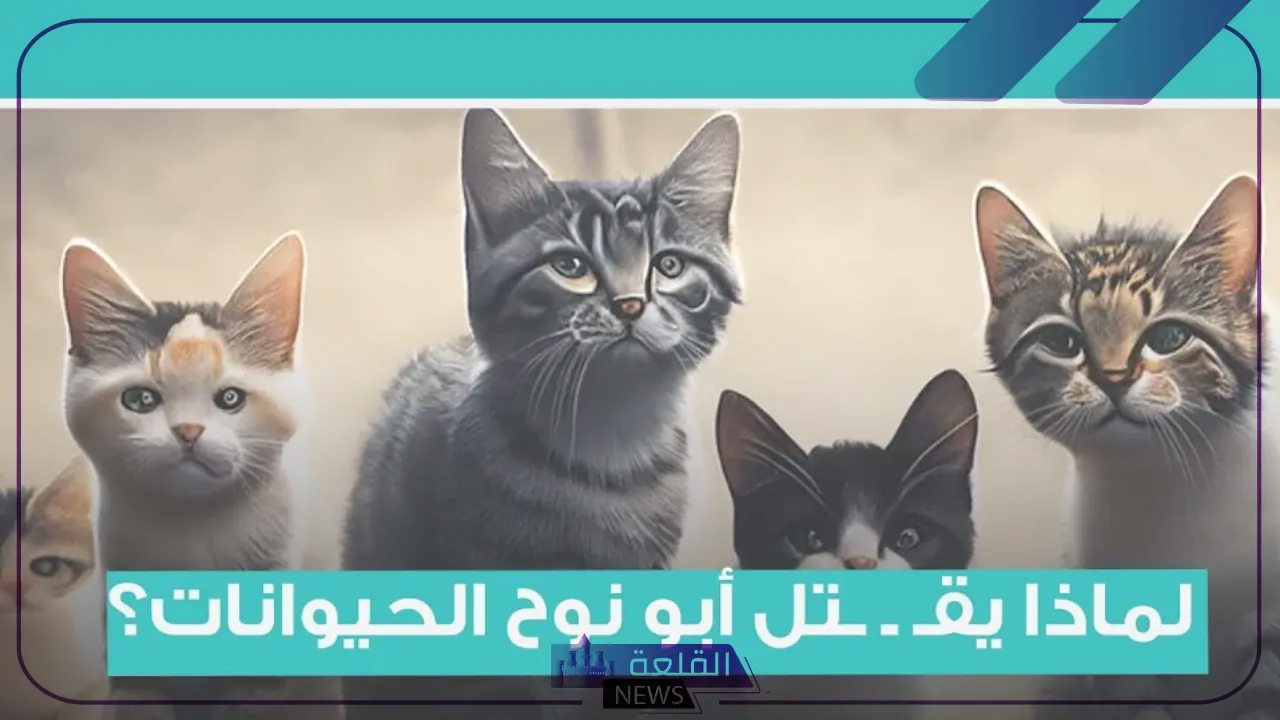 سفاح القطط.. الأمن المصري يلقي القبض على أبو نوح سفاح القطط 5 القبض على ابو نوح سفاح القطط