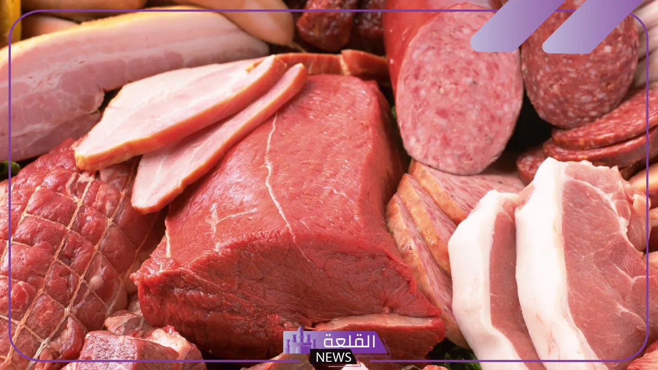 الكيلو بكام؟؟ أعرف أسعار اللحوم في مصر اليوم الاثنين 19 أغسطس 2024 6 سعر كيلو اللحم الضأن اليوم في الأسواق