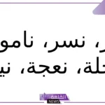 حيوان بحرف ن.. أسماء حيوانات تبدأ بحرف النون