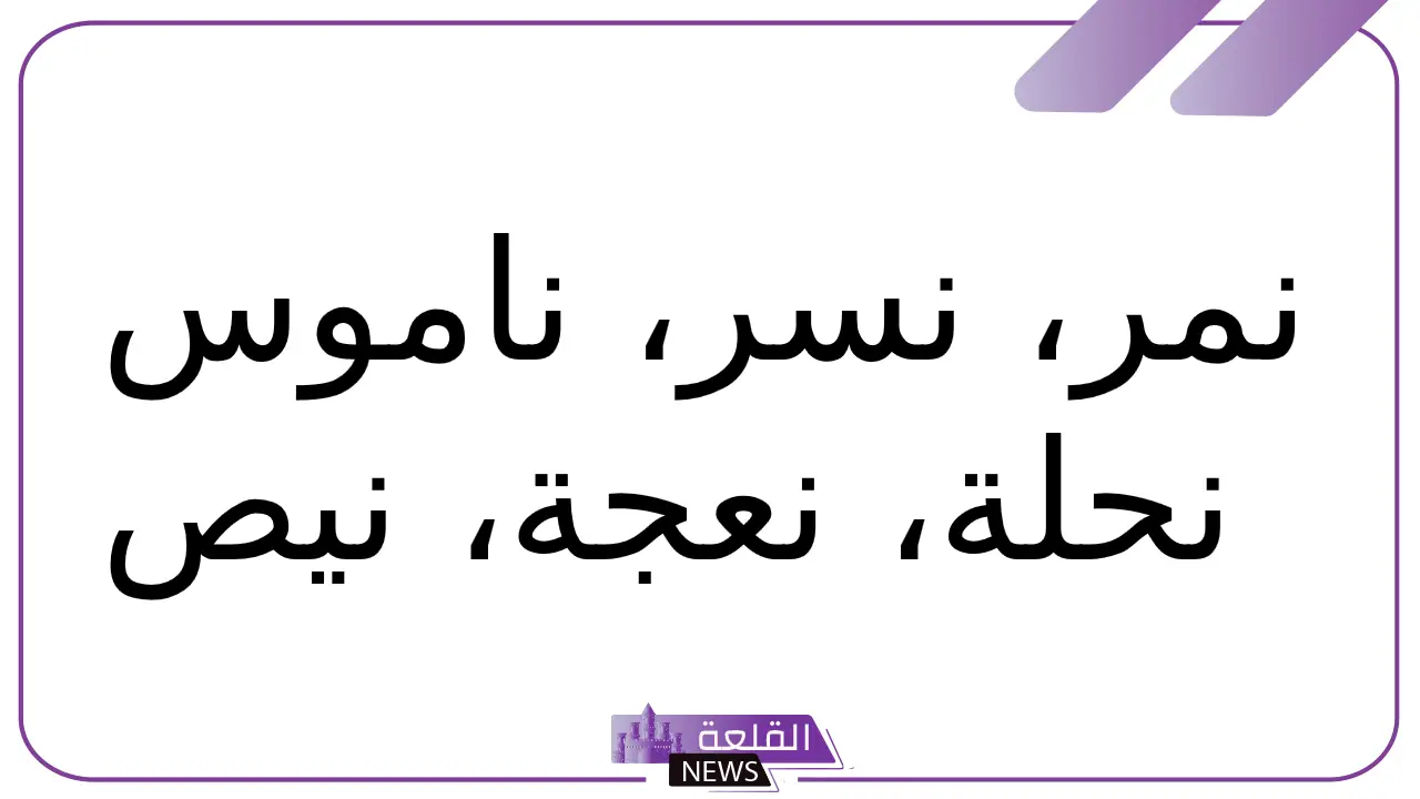 حيوان بحرف ن.. أسماء حيوانات تبدأ بحرف النون