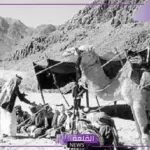 السميري وش يرجع.. فروع وبطون قبيلة السميري