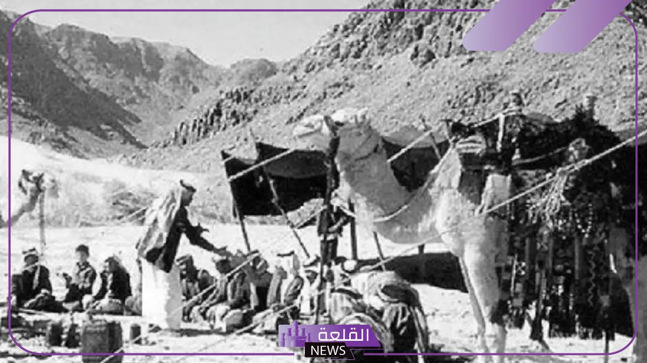 السميري وش يرجع.. فروع وبطون قبيلة السميري