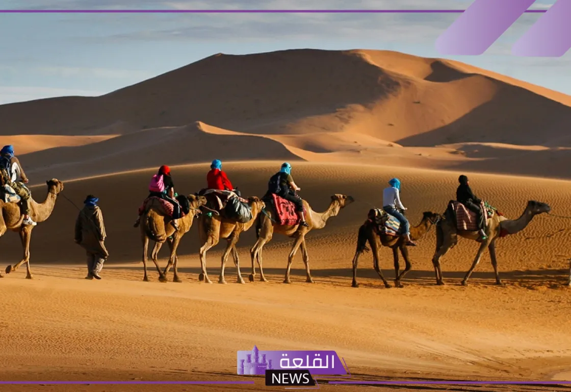 الاحمري وش يرجع وما هو أصل القبيلة