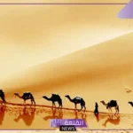 البشري وش يرجع.. فروع وبطون قبيلة البشري ونسبها 