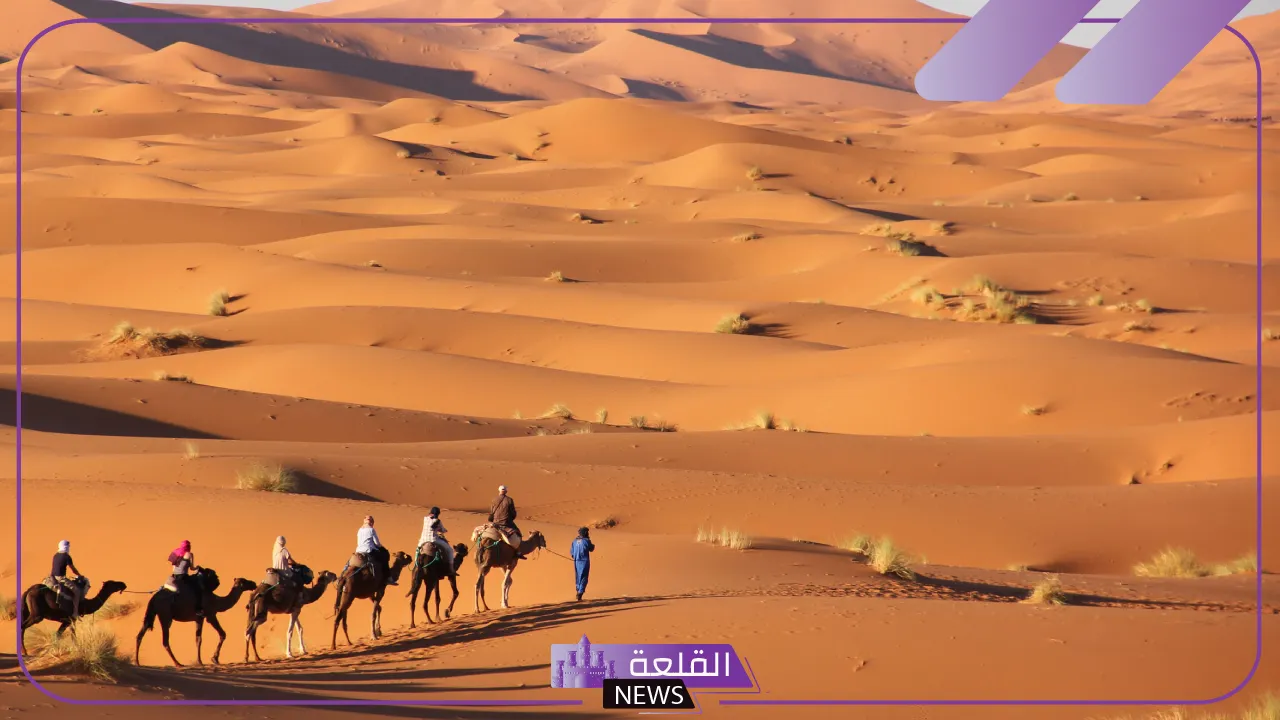 البشيري وش يرجع .. مشاهير عائلة البشيري وديرتهم 1 البشيري وش يرجع نسبه وفروع العائلة