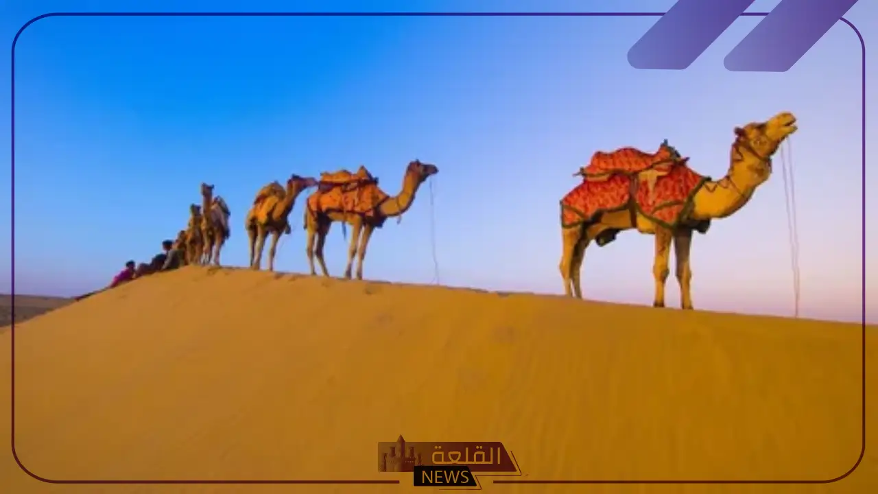 التويجري وش يرجعون.. عائلة التويجري وفروعهم