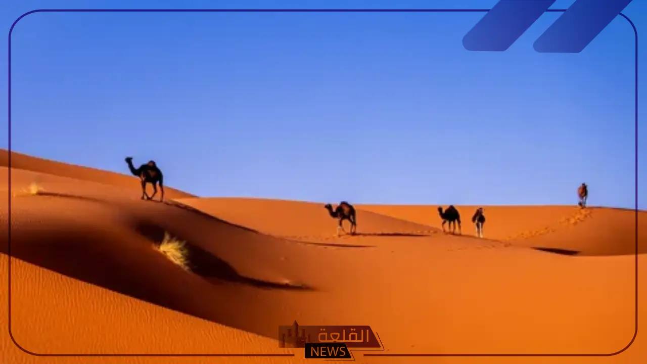 الثقفي وش يرجع.. أصل ونسب قبيلة الثقفي من وين