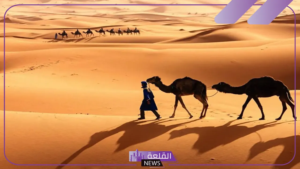 الجبرين وش يرجعون .. نسب عائلة الجبرين من وين 5 الجبرين وش يعود افخاذ وبطون العائلة من وين