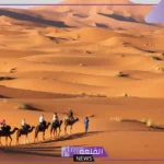 الحسني وش يرجع.. أصل ونسب قبيلة الحسني من وين