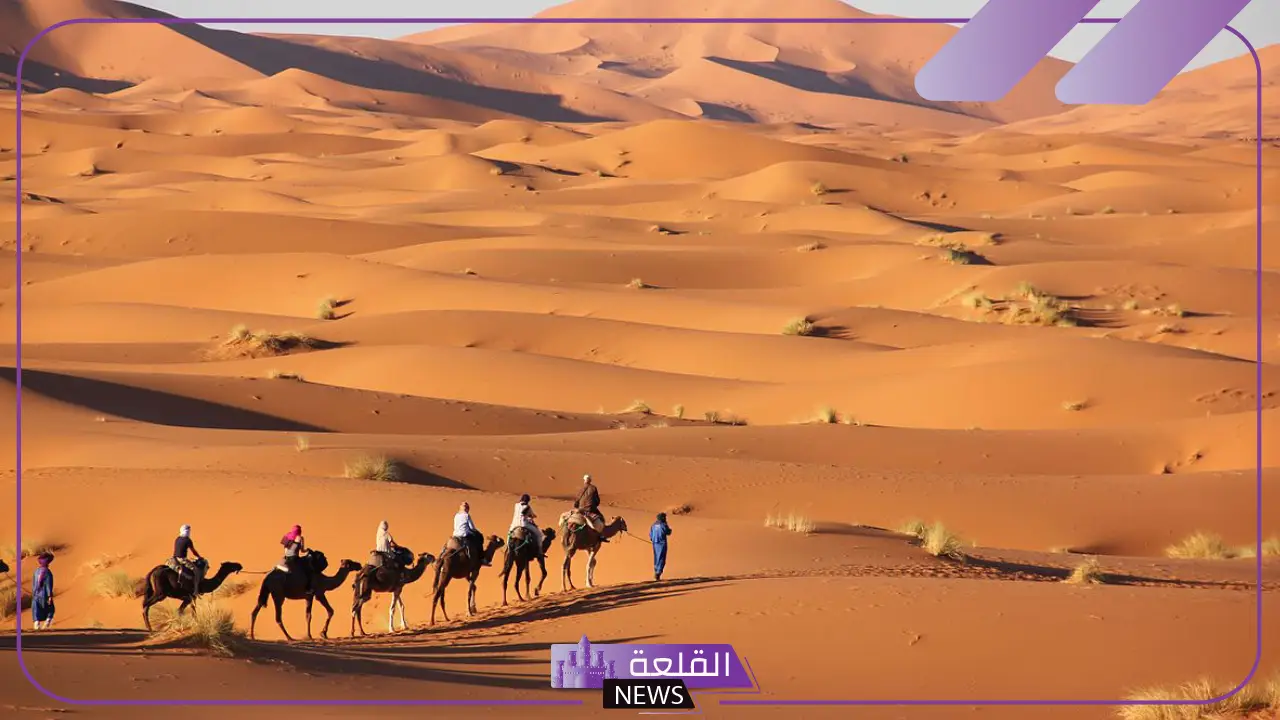 الحسني وش يرجع.. أصل ونسب قبيلة الحسني من وين