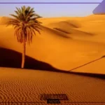 الدريهم وش يرجعون.. عائلة الدريهم من وين وأبرز أعلام القبيلة