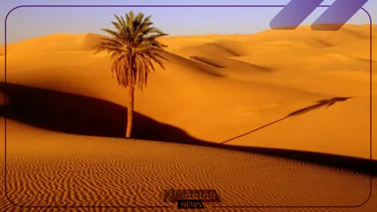 الدريهم وش يرجعون.. عائلة الدريهم من وين وأبرز أعلام القبيلة