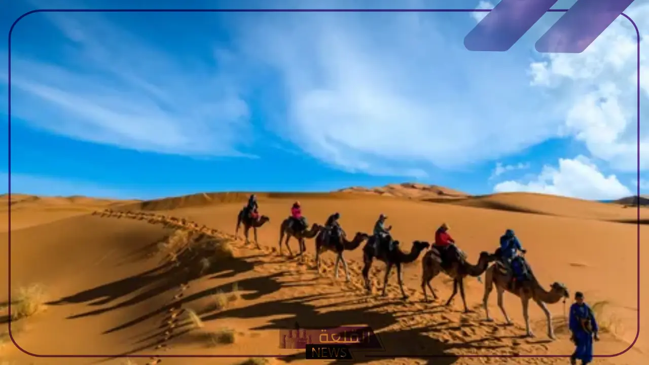 الذويبي وش يرجع.. بطون وفروع عائلة الذويبي