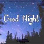 الرد على قود نايت.. أفضل 11 عبارة للرد على قود نايت