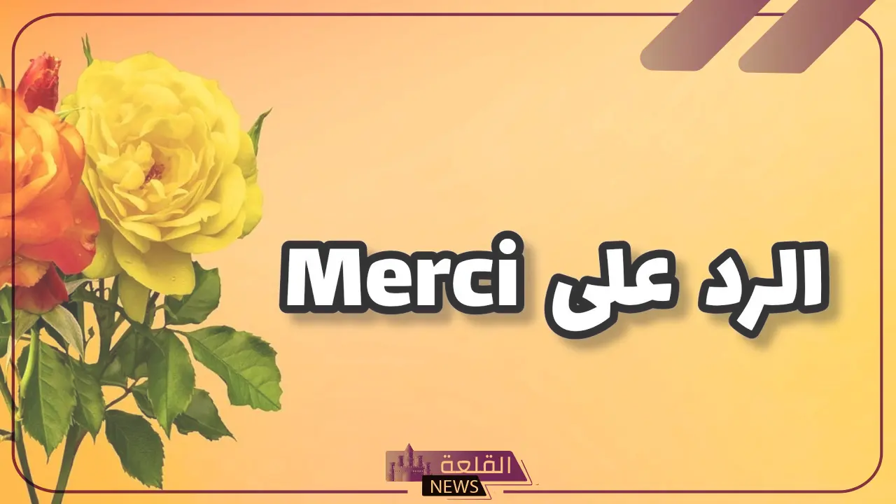 الرد على كلمة ميرسي.. وش أرد على أحد قالي ميرسي؟ 6 كيفية الرد على كلمة ميرسي؟