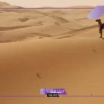 الروقي وش يرجع.. نسب عائلة الروقي وش يعود 