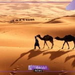 السعدي وش يرجع أصل ونسب قبيلة السعدي من وين 