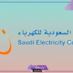 بالتشارك مع 15 مؤسسة مالية للتمويل.. شركة السعودية للكهرباء تعلن الحصول على تمويل بقيمة 4 مليارات دولار