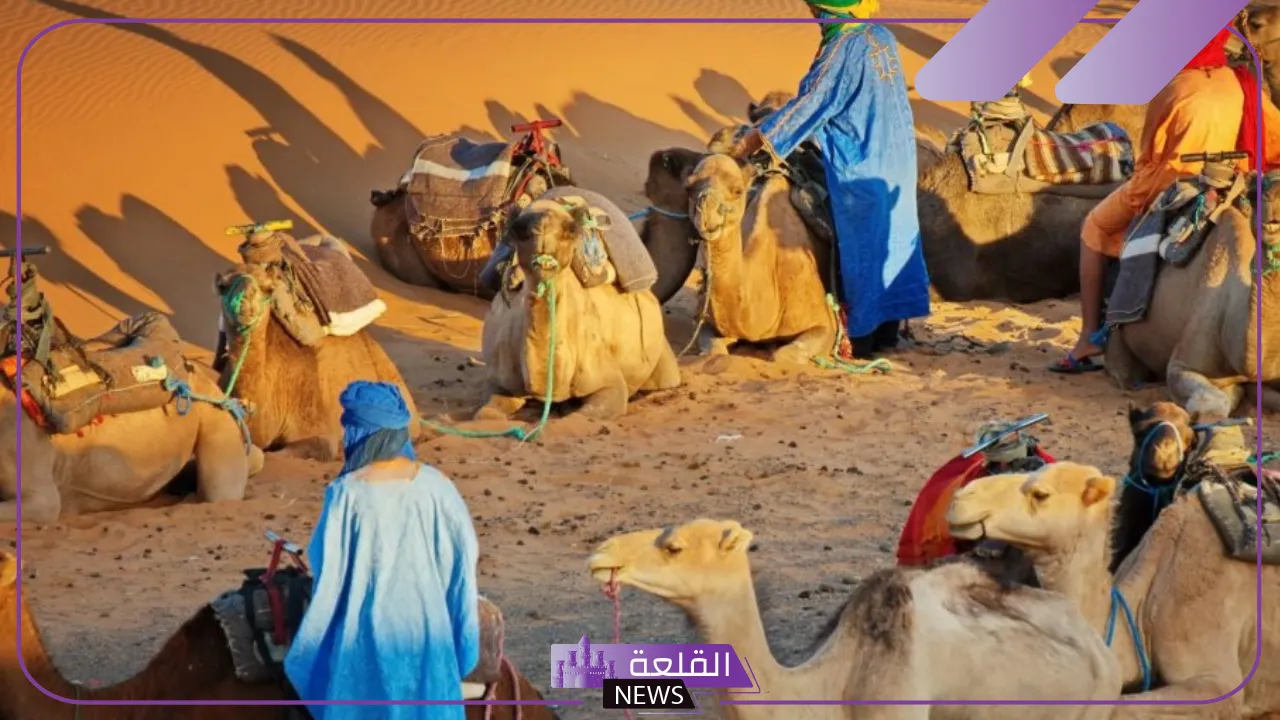 السناني وش يرجع.. أصل قبيلة السناني من وين يعود السناني وش يرجع.. أصل قبيلة السناني من وين يعود