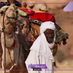 الشاطري وش يرجع.. أصل عائلة الشاطري وش يعود