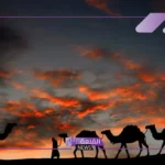 الشلاحي وش يرجع.. أصل ونسب عائلة الشلاحي من وين 