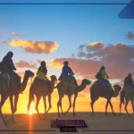 الشنيفي وش يرجعون .. فروع عائلة الشنيفي