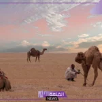 الصاعدي وش يرجع.. نسب وفروع عائلة الصاعدي 