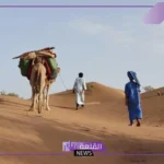 الظفيري وش يرجع.. أصل قبيلة الظفيري وبطون العائلة 