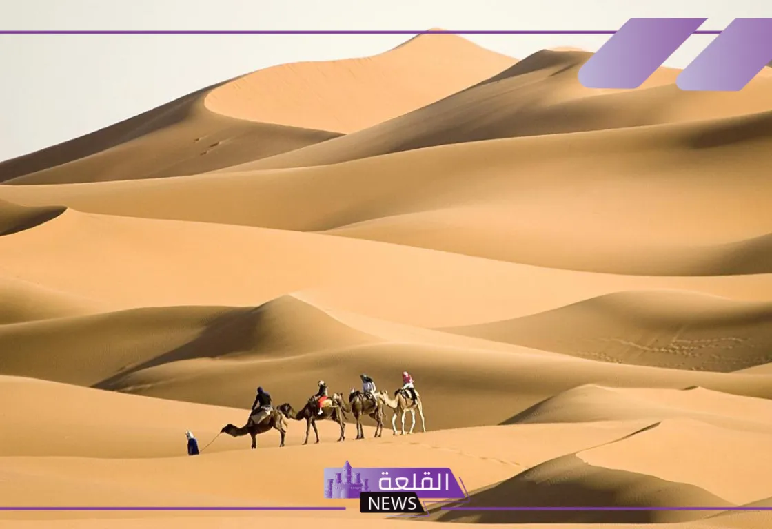 الظفيري وش يرجع.. أصل قبيلة الظفيري وبطون العائلة الظفيري وش يرجع.. أصل قبيلة الظفيري وبطون العائلة