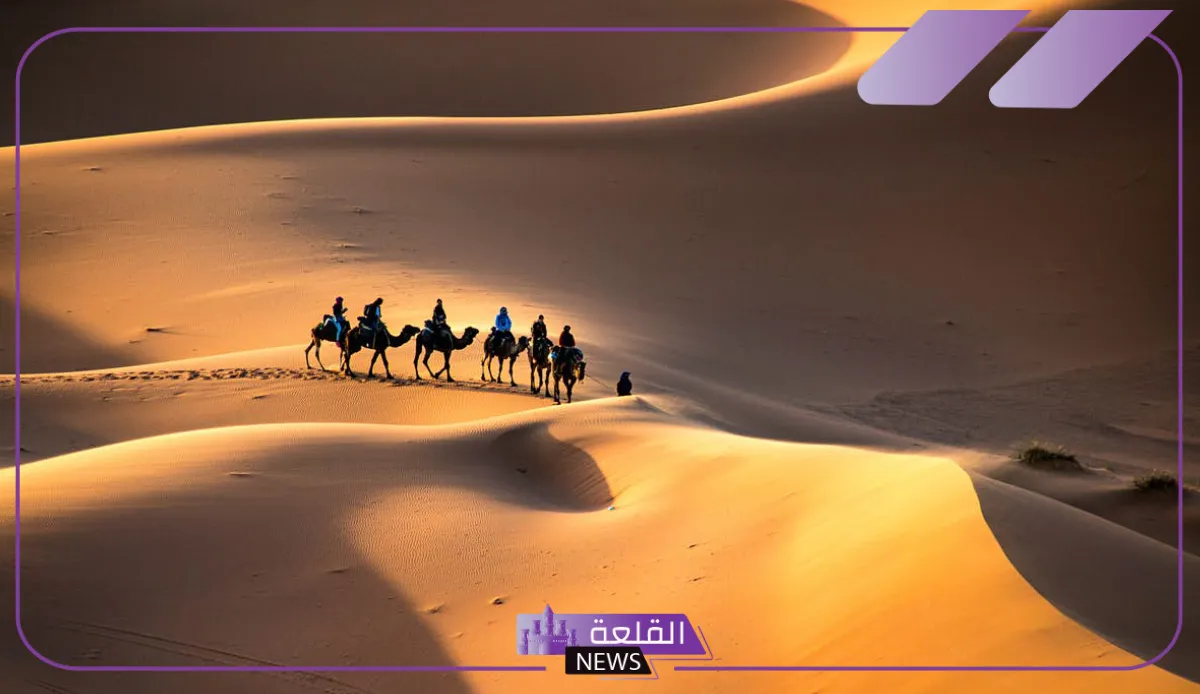 العصيمي وش يرجع.. أصل قبيلة العصيمي من وين 5 شجرة عائلة العصيمي
