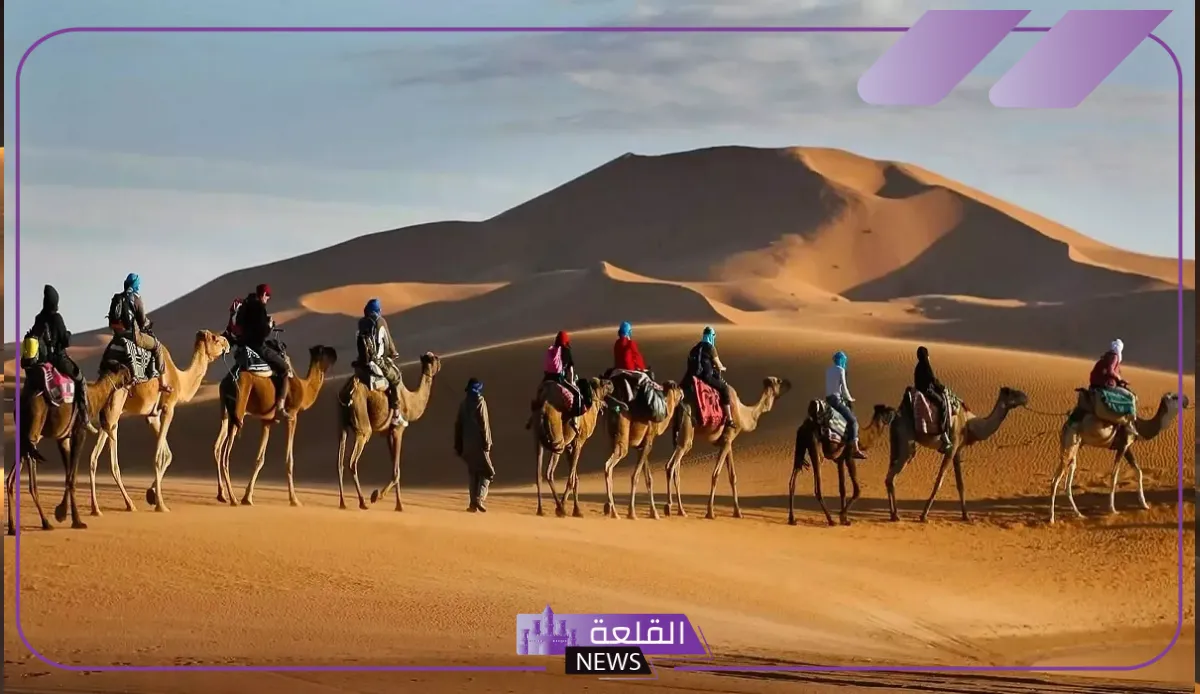 العصيمي وش يرجع.. أصل قبيلة العصيمي من وين 6 آل العصيم وش يرجعون