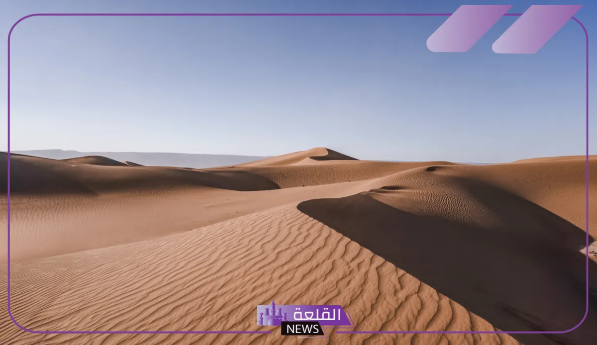 العلياني وش يرجع.. نسب قبيلة العلياني وش يعود 5 أصول وفروع عائلة العلياني