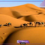 الفضلي وش يرجعون.. نسب قبيلة الفضلي وشجرة العائلة 