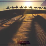 القرعاوي وش يرجعون ..أصل وفروع قبيلة القرعاوي