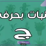 نبات بحرف ج.. أشهر أسماء نباتات بحرف الجيم