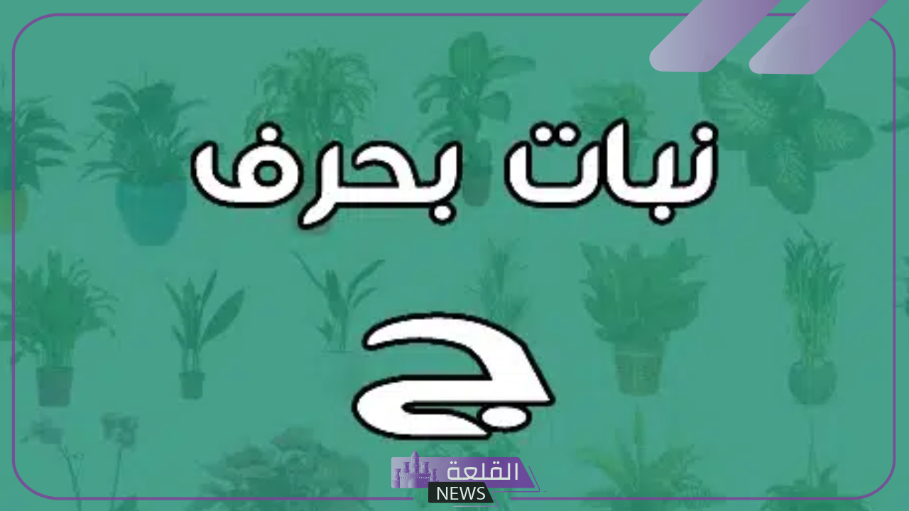 نبات بحرف ج.. أشهر أسماء نباتات بحرف الجيم