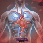 ابتعد عنه.. هذا المشروب سيدمر قلبك وسيرفع من مستويات الكولسترول