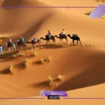 اللقماني وش يرجع.. أصل ونسب قبيلة اللقماني