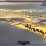 اللهيبي وش يرجع.. نسب وفروع عائلة اللهيبي