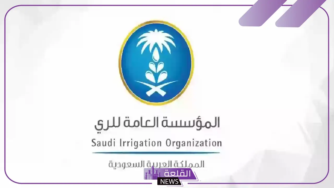 قدم من هنا.. وظائف شاغرة في المؤسسة العامة للري بالسعودية 5 فرص وظيفية تنتظرك في المؤسسة العامة للري بالسعودية – سارع بالتقديم الآن!