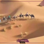 المخلفي وش يرجع.. أصل المخلفي من وين يرجع