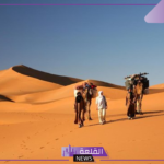 المرشدي وش يرجع.. نسب عائلة المرشدي من وين