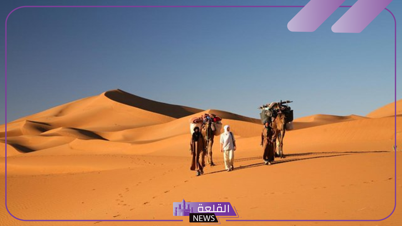 المرشدي وش يرجع.. نسب عائلة المرشدي من وين