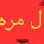المري وش يرجع.. نسب عائلة المري وأماكنهم