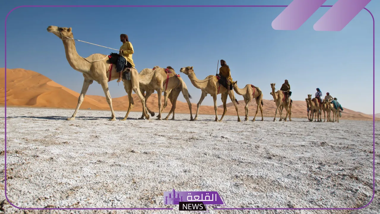 المشعلي وش يرجعون وما هي أصول العائلة