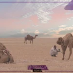 المصعبي وش يرجع.. أصل قبيلة المصعبي وش يعود