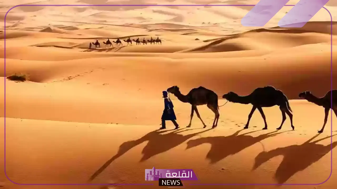 المقاطي وش يرجع.. ما أصل قبيلة المقاطي ونسبها؟ 5 نسب قبيلة المقاطي